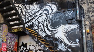 IMG_3921